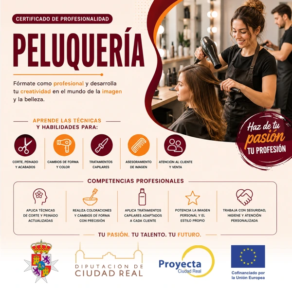 proyecta-ciudad-real-peluqueria-Centros-Infosystem